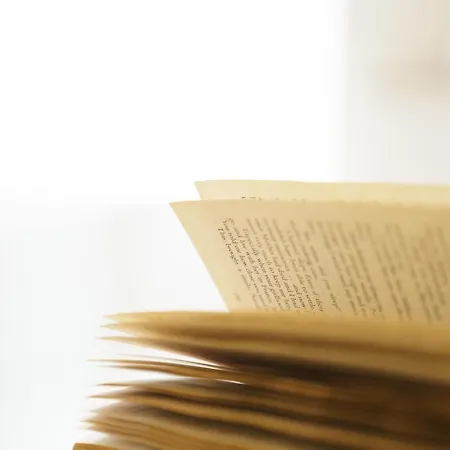 The Old Antiques Warehouse Apartament